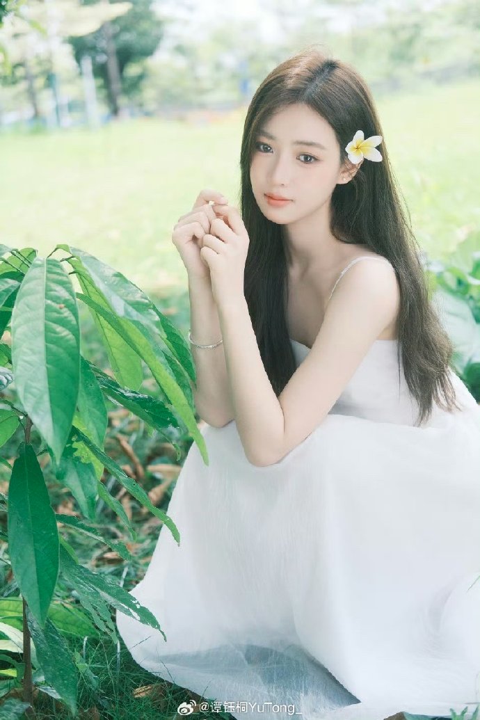 百度蜘蛛池购买网站是什么意思啊