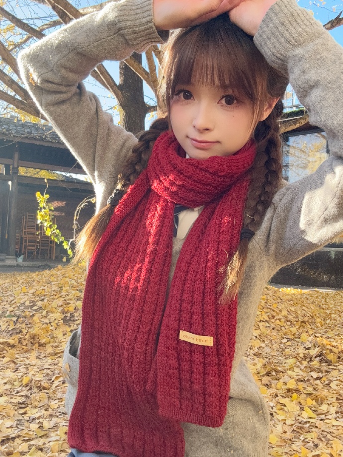 免费蜘蛛池测试网站下载手机版安装