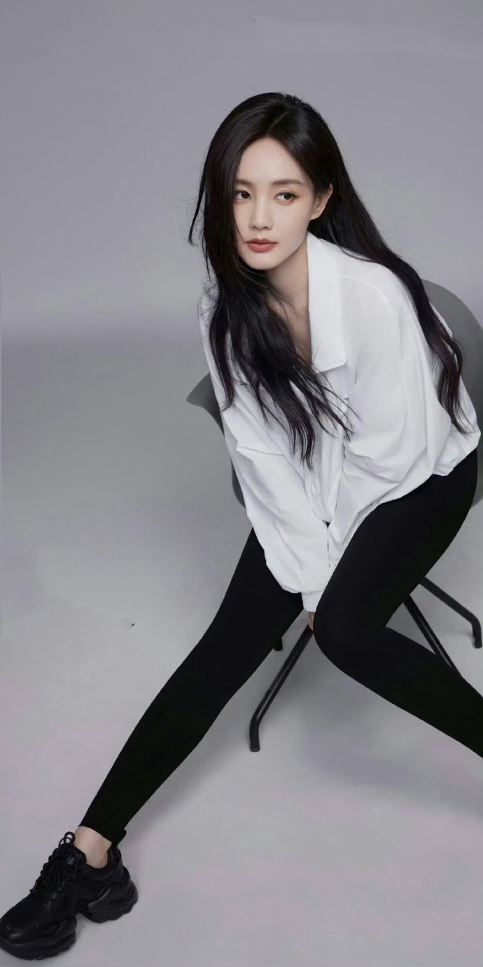 西藏蜘蛛池出租哪个好