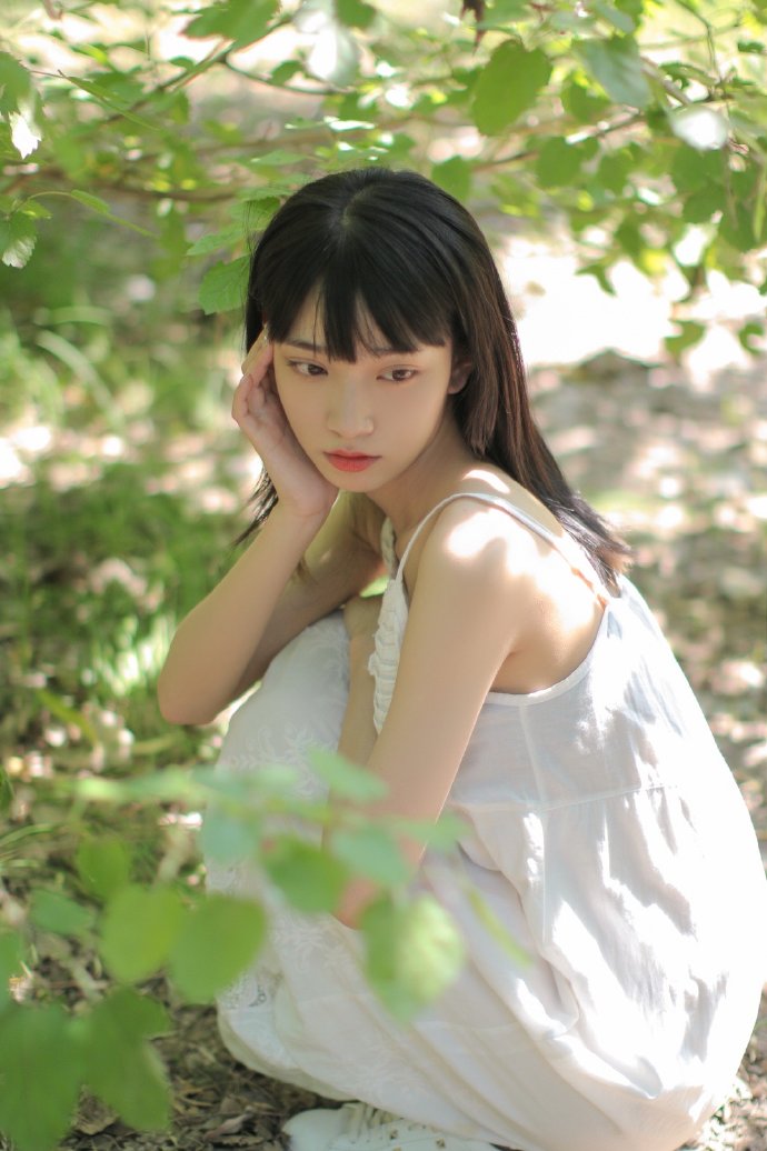 SEO与百度竞价：两者有何区别？