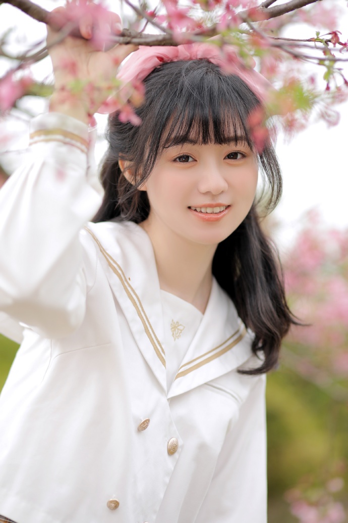 SEO PC排名：揭秘提升网站搜索引擎优化排名的策略