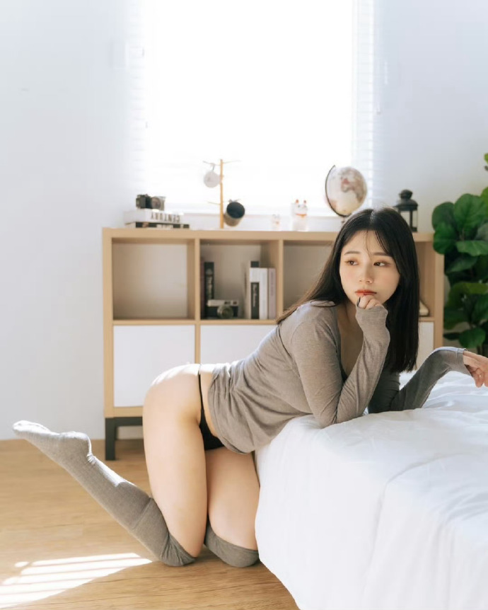 蜘蛛池出租程序是什么样的啊视频讲解