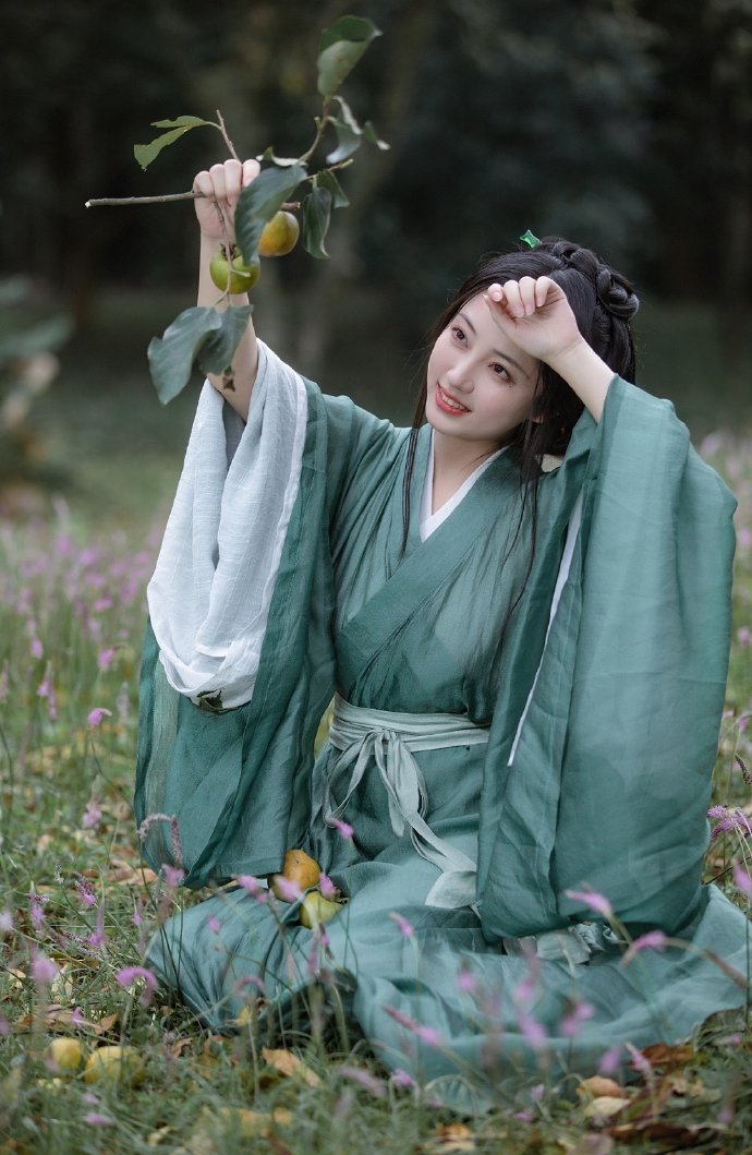 蜘蛛池的作用是什么意思啊图片视频