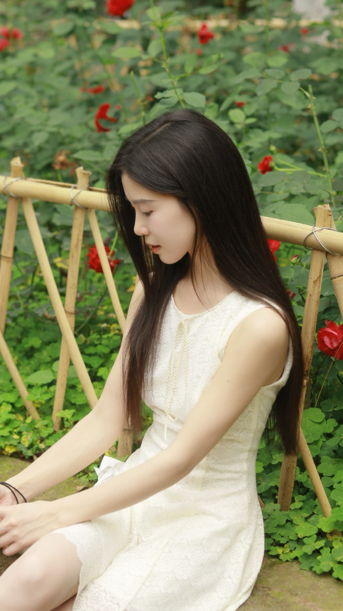 蜘蛛池一般多少钱一个月啊图片