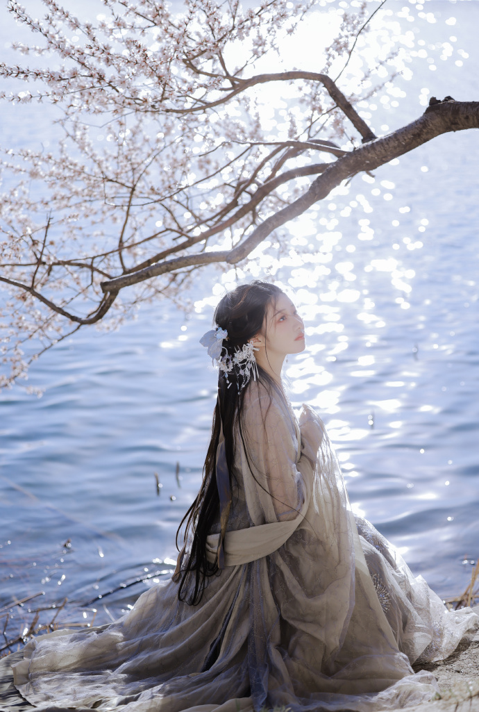 小旋风蜘蛛池使用教程视频大全下载