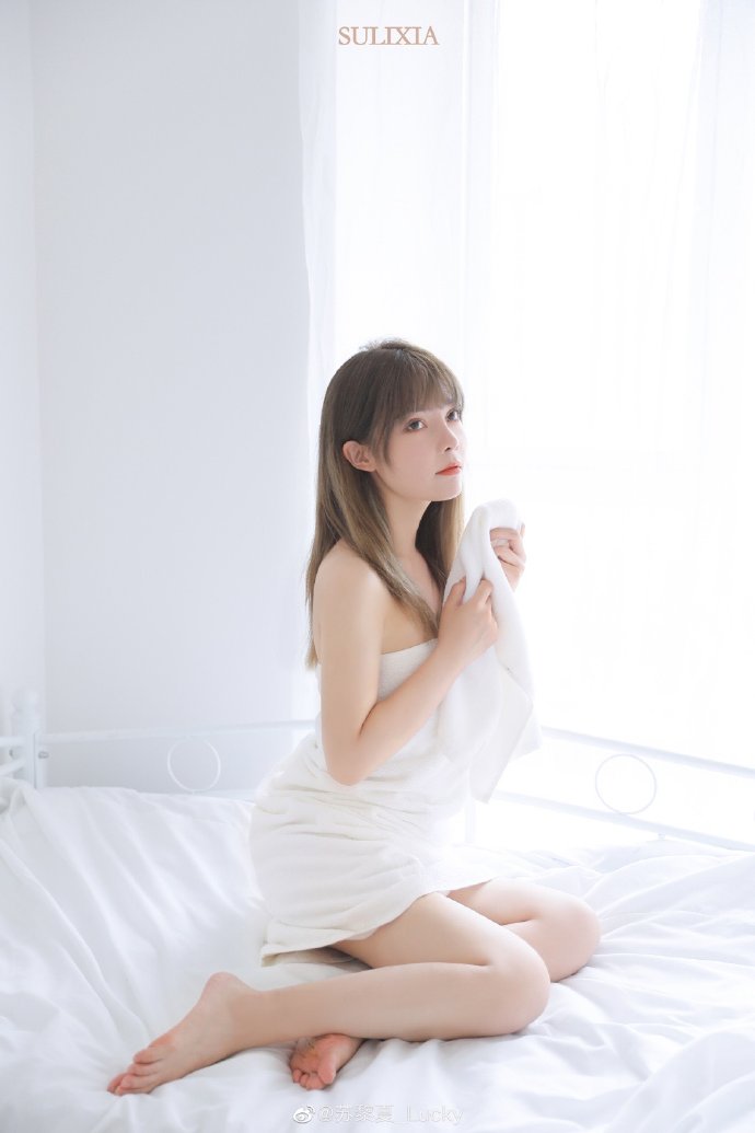 SEO介绍案例:如何通过搜索引擎优化提升网站流量