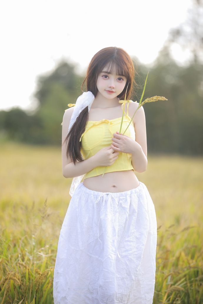 蜘蛛池搭建方法图片高清图解视频大全