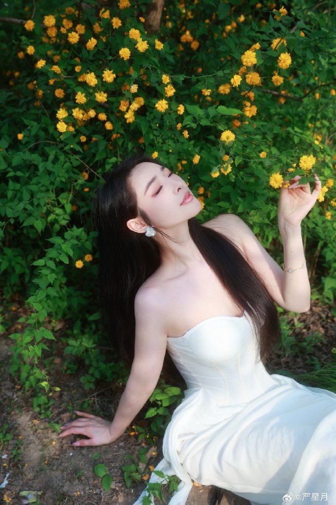 小旋风蜘蛛池有什么用处吗视频介绍