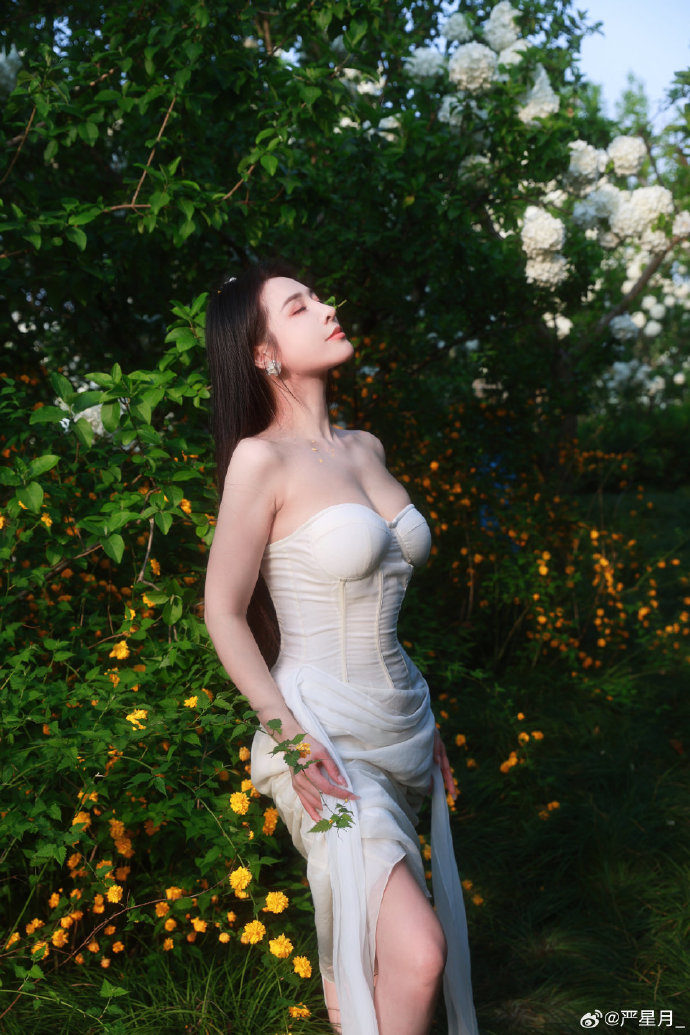 蜘蛛池是什么意思啊网名大全图片可爱