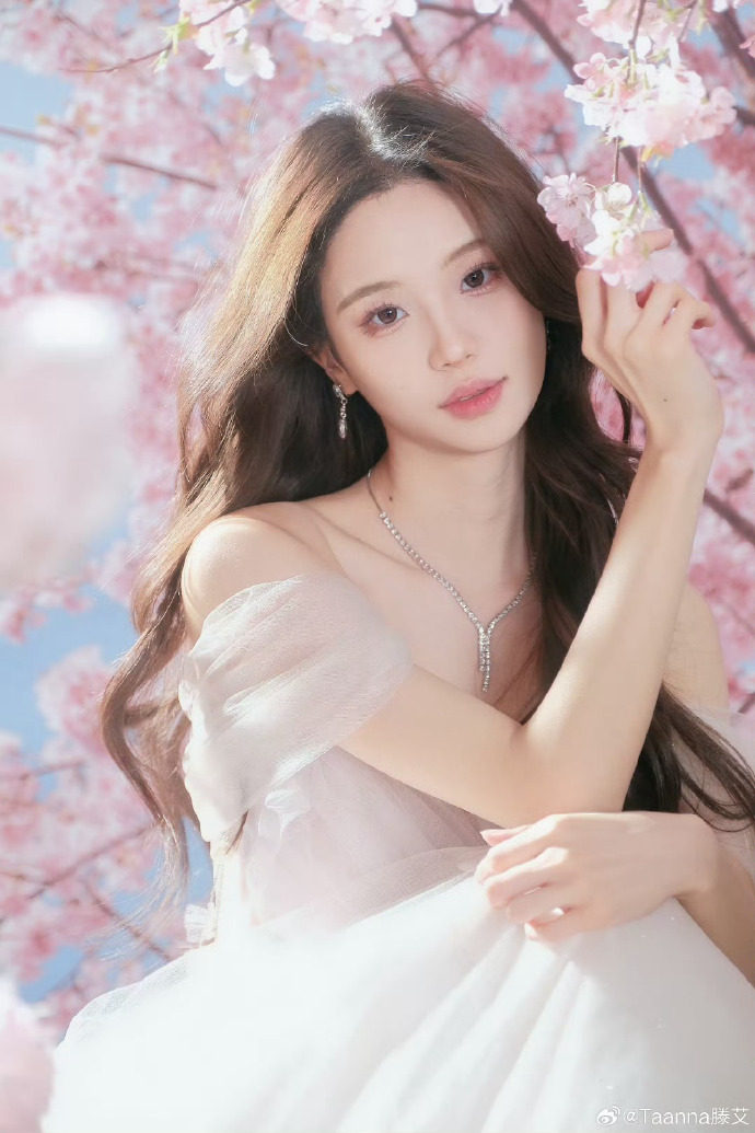 网站蜘蛛池怎么做的啊视频下载到手机