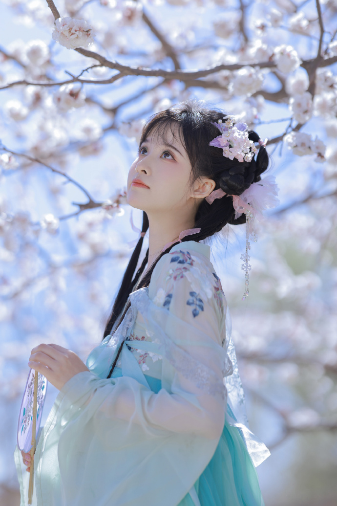 谷歌蜘蛛池蜘蛛越来越少