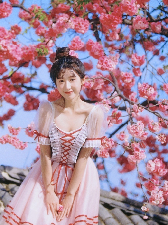 SEO优化项目大全：全方位提升网站排名与流量