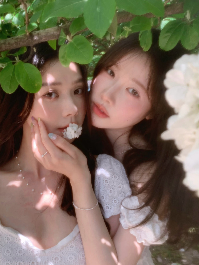 SEO公司案例解析:如何通过优化策略提升网站排名