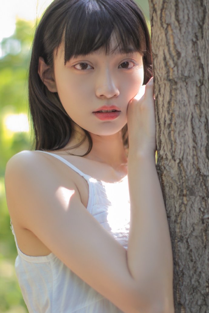 蜘蛛池使用教程图片高清大图大全下载