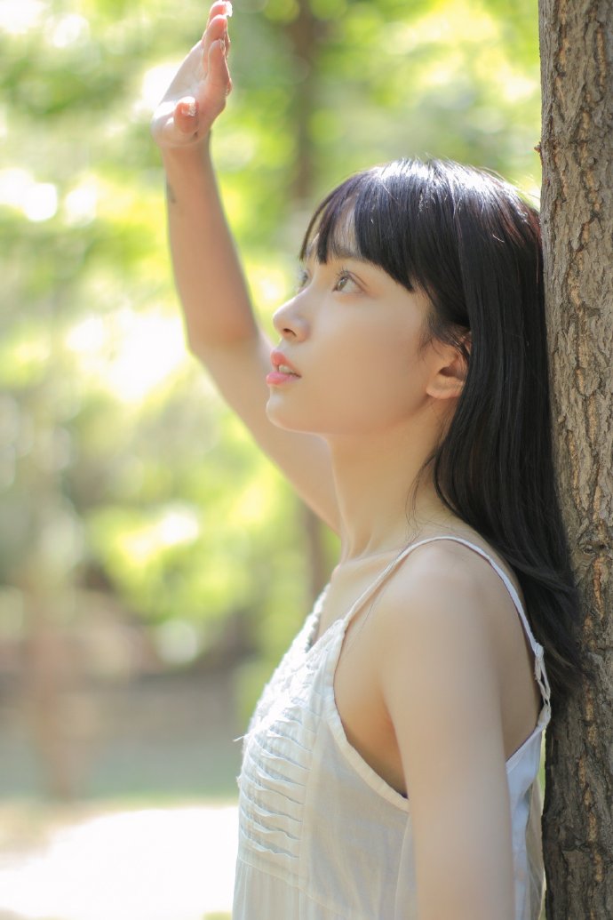 阿拉尔企业网站建设：打造专业形象，助力企业腾飞