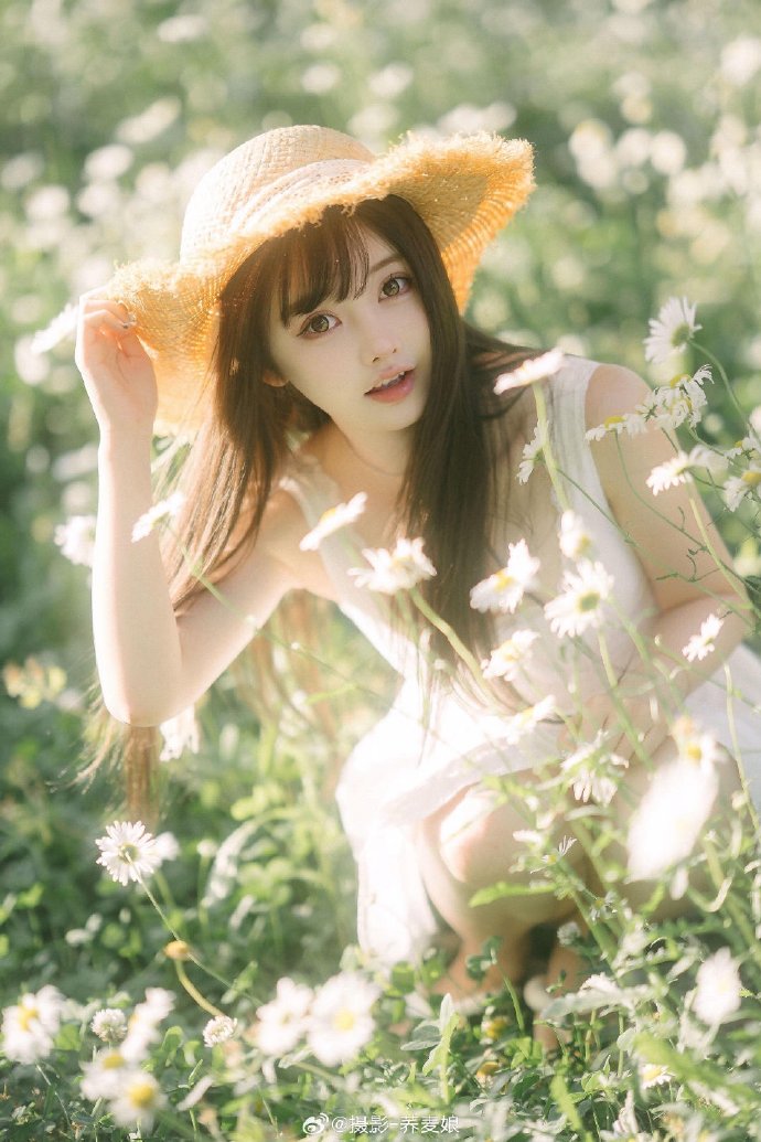 天道蜘蛛池4.4破解版