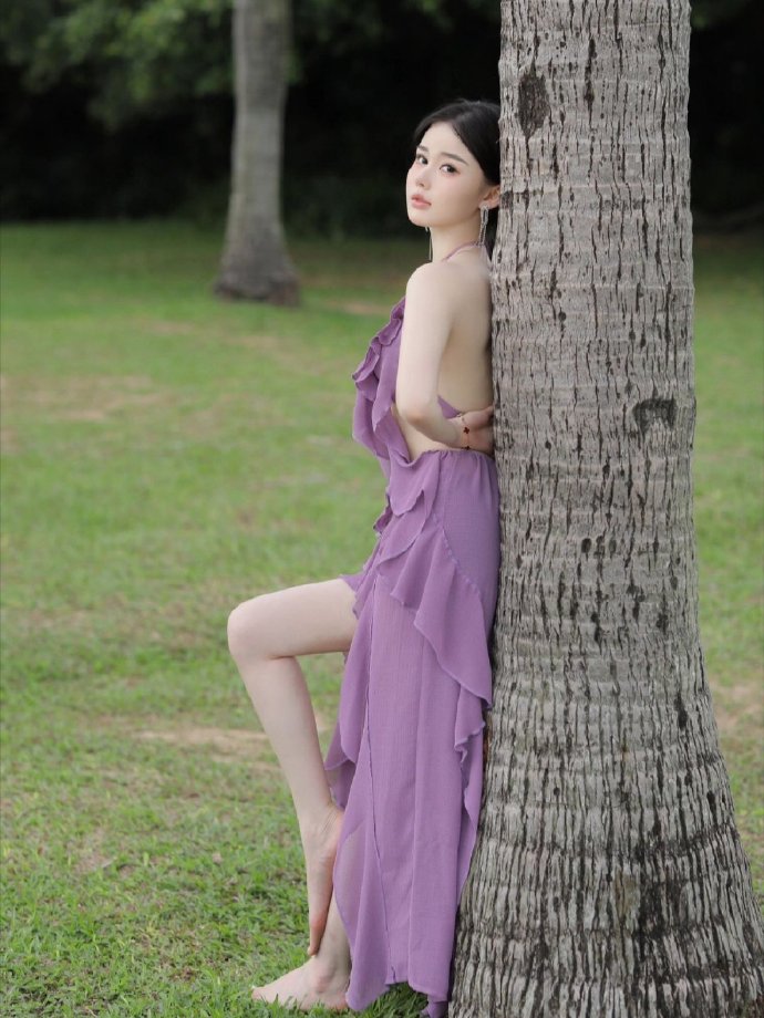 蜘蛛池租用价格表图片大全集最新