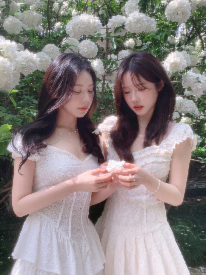 蜘蛛池搭建教程视频全集免费播放大全