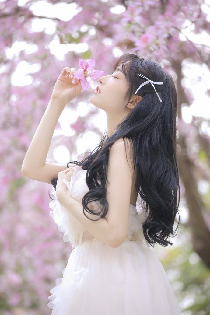 蜘蛛池新手入门教程图片高清版