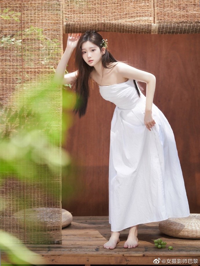 蜘蛛池租用价格多少合适呢视频讲解