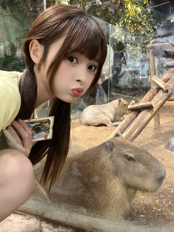 蜘蛛池的作用与功效是什么