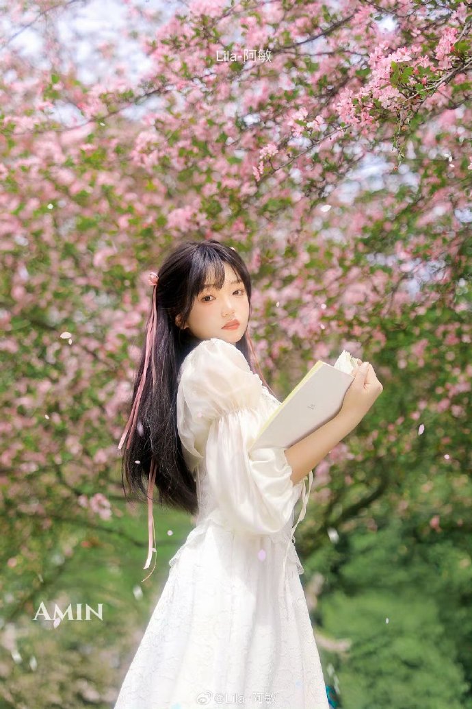 白山网站建设与推广：助力企业迈向数字时代