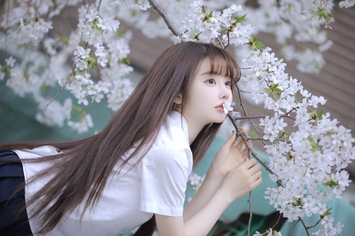 SEO的重要性：互联网时代企业发展的必经之路