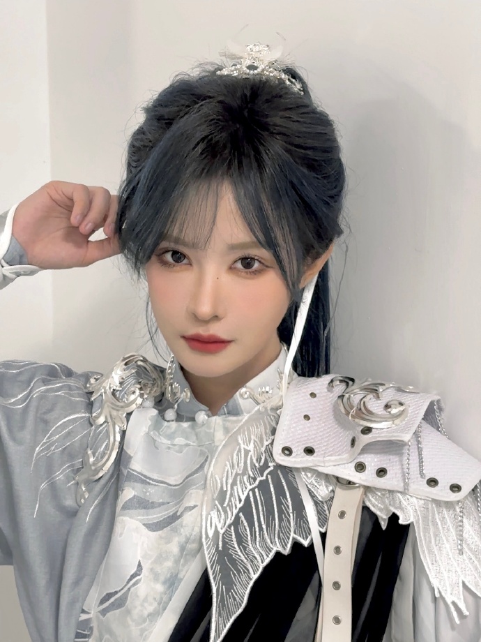 百度蜘蛛池平台下载安装手机版最新