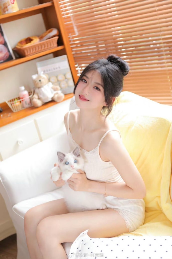 免费蜘蛛池测试软件下载手机版安装