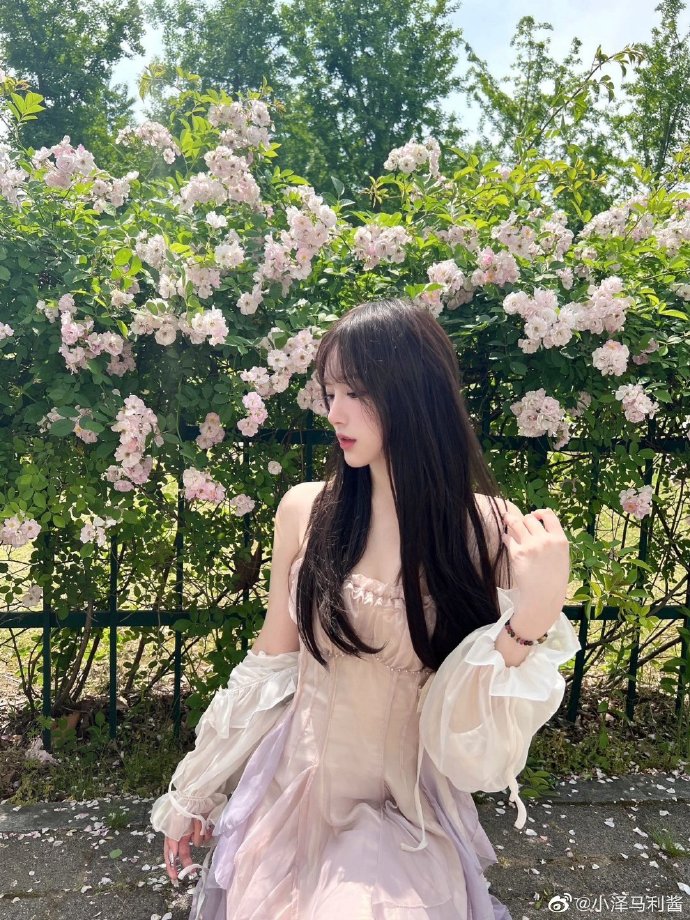 蜘蛛池搭建方法视频教学大全下载