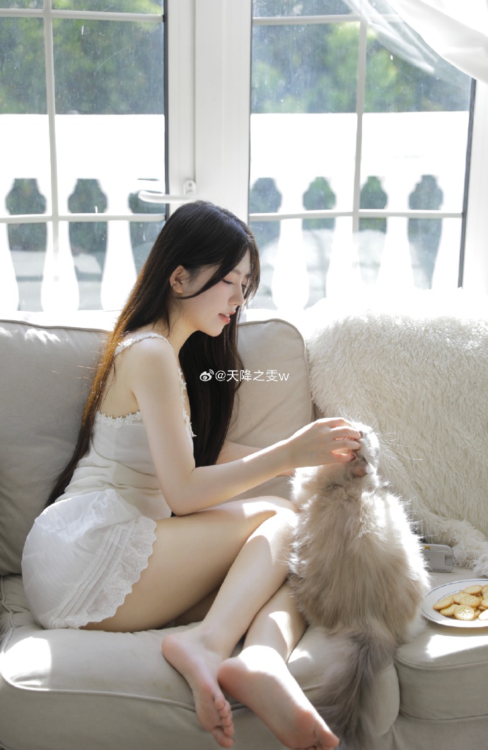 最新秒收蜘蛛池出租市场动态及选择建议