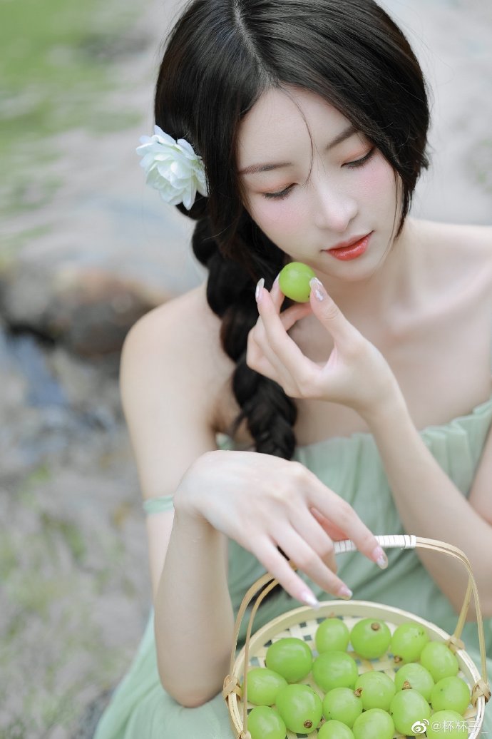 蜘蛛池搭建方法视频大全图解下载