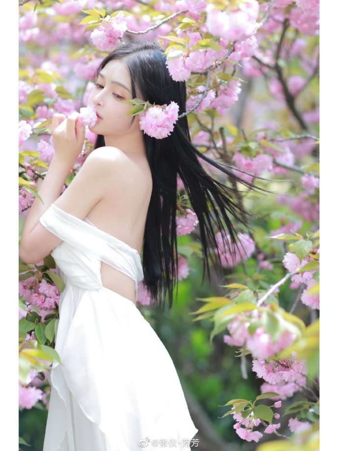 百度信誉V认证助力SEO优化，提升网站品牌形象与搜索引擎排名