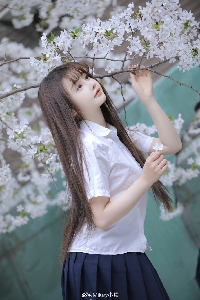 SEO关键字的定义与应用解析