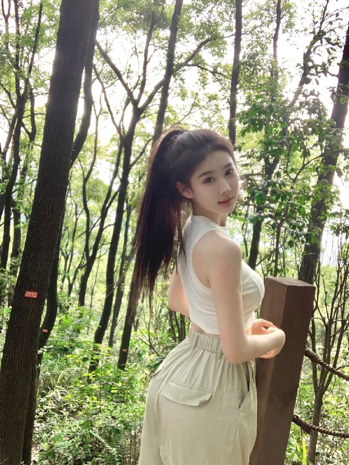 鞍山SEO顾问服务：助力企业网站优化，提升在线竞争力