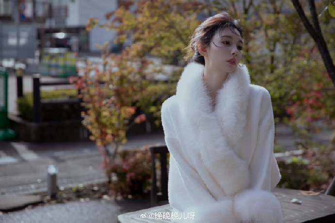 蜘蛛池的原理图解大全集视频教程图片