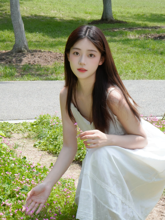 用蜘蛛池加快收录