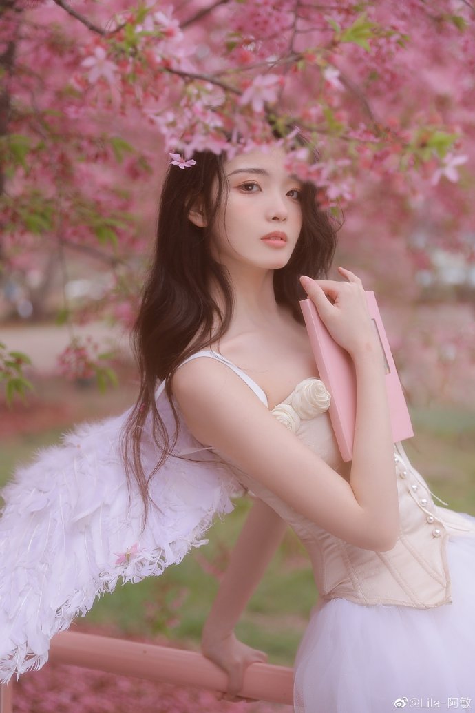 蜘蛛池使用教程图片大全集高清