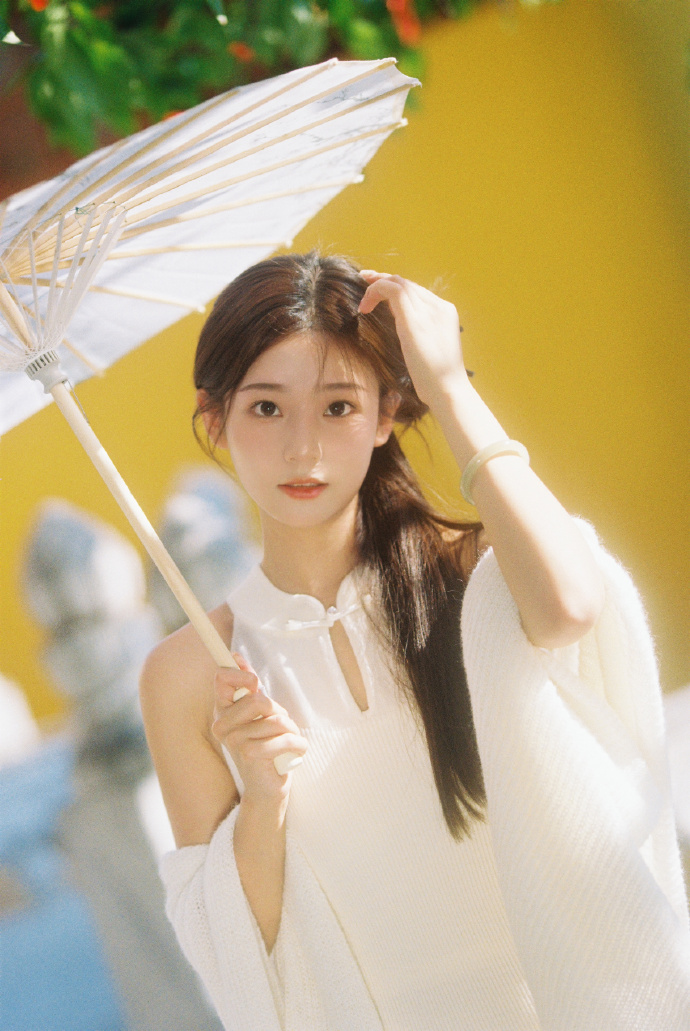 蜘蛛池搭建方法视频讲解大全图片