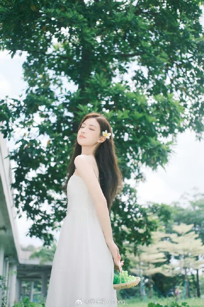 白银网站建设开发：打造专业、高效的在线平台