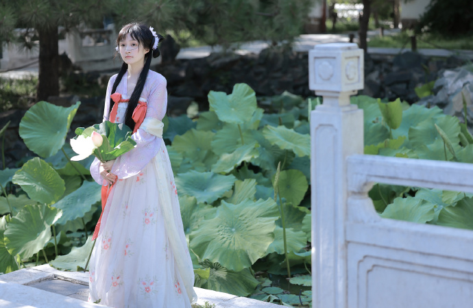 如何制作蜘蛛池视频教学大全图解