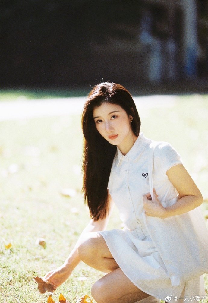 小旋风万能蜘蛛池怎么样用的