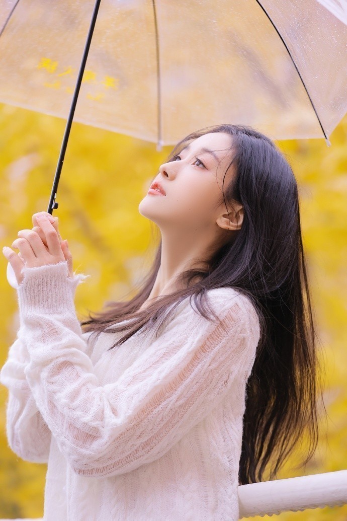 怎么建蜘蛛池教程图解视频大全图片