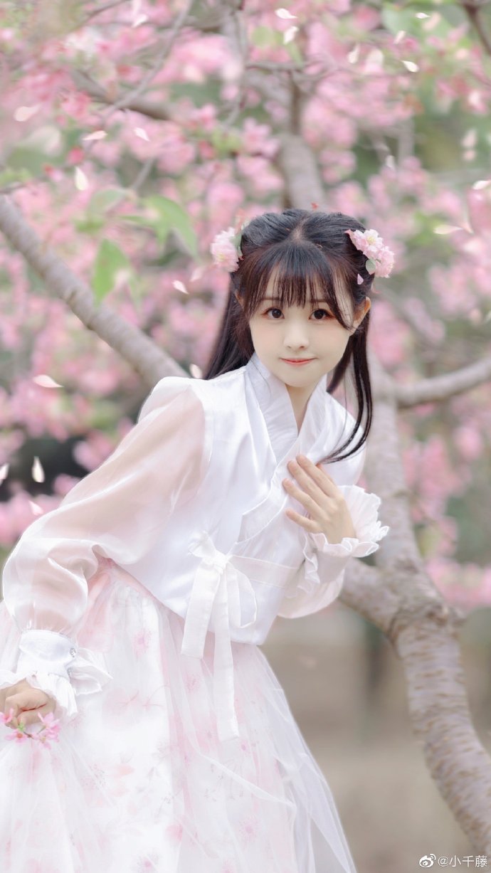 如何制作蜘蛛池图片教程视频大全下载