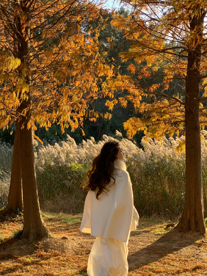 SEO优化：掌握三大标签，提升网站排名与用户体验