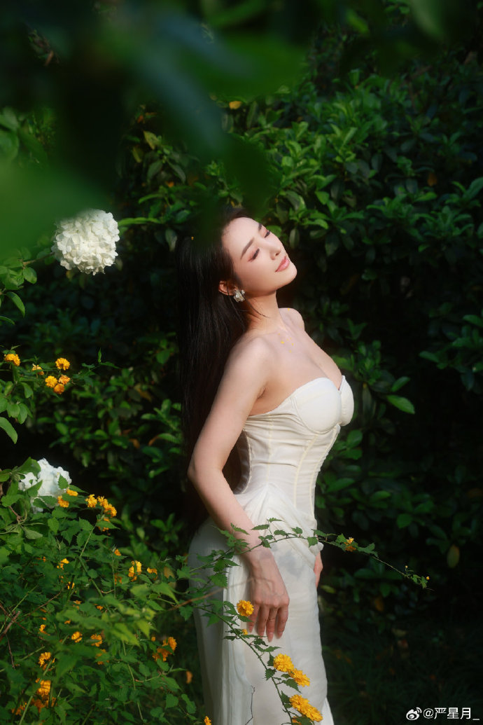 百度收录蜘蛛池的作品有哪些书籍呢