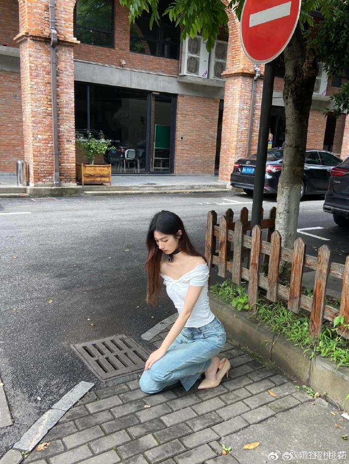 泛目录和蜘蛛池哪个好用