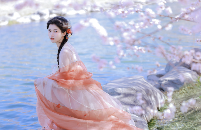 小旋风蜘蛛池模板定制多少钱