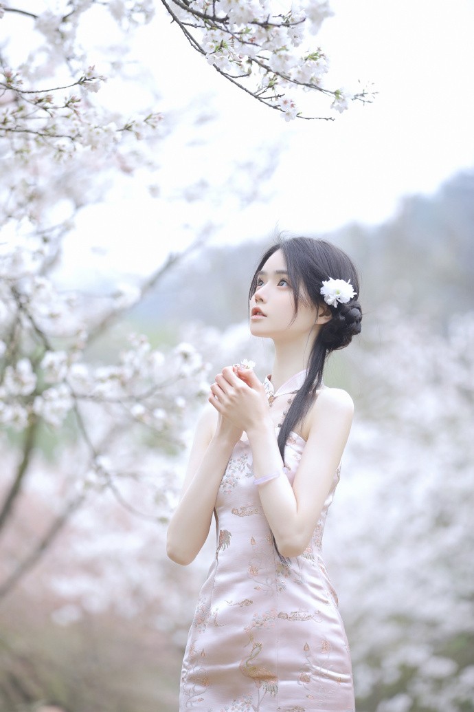 蜘蛛池出租程序图片大全集高清版视频