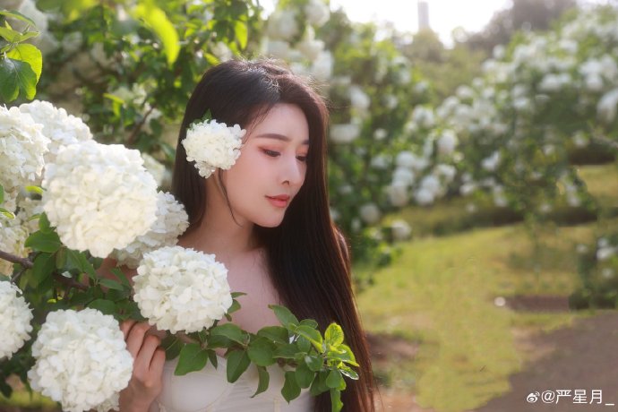 大地资源十中文在线观看免费版高清